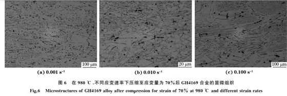 圖６ 在９８０ ℃、不同應(yīng)變速率下壓縮至應(yīng)變量為７０％