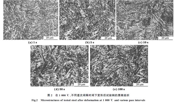 圖２ 在１０００ ℃、不同道次間隔時(shí)間下變形后試驗(yàn)鋼的顯微組織