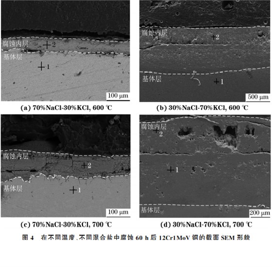 在不同溫度、不同混合鹽中腐蝕６０h后１２Cr１MoV鋼的截面SEM 形貌