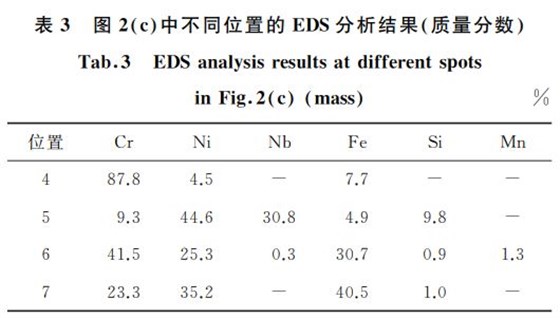 表３ 圖２ c 中不同位置的 EDS分析結果 質量分數(shù)