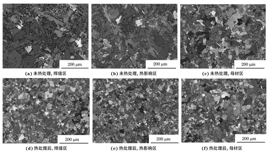 圖２ 熱處理前后焊接接頭焊縫區(qū)、熱影響區(qū)和母材區(qū)的取向成像圖