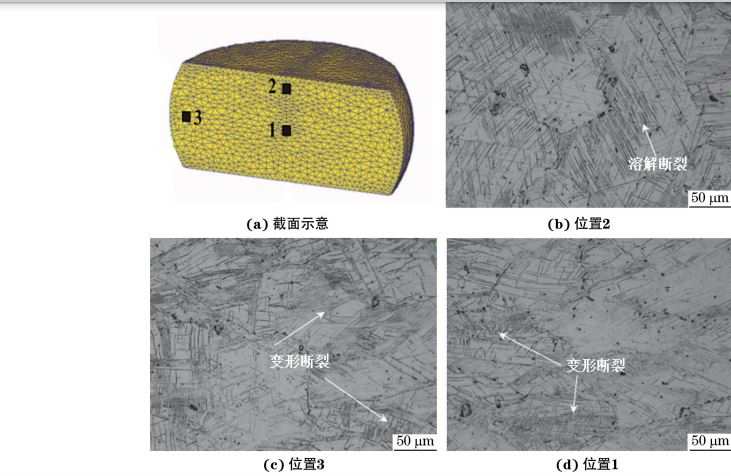 在９８０ ℃、應(yīng)變速率為０．０１０s－１下壓縮至應(yīng)變量為３０％后