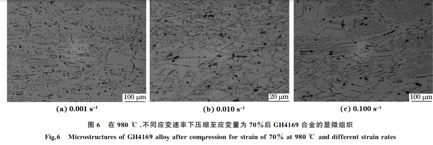 圖６ 在９８０ ℃、不同應(yīng)變速率下壓縮至應(yīng)變量為７０％